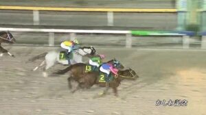 【かしわ記念2023】結果・動画/メイショウハリオが差し切りV