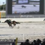 【かきつばた記念2023】結果・動画/ウィルソンテソーロが接戦を制する