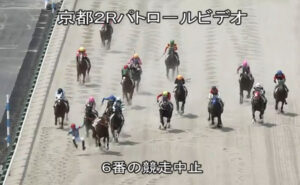 【京都2R】鮫島残り100m先頭で落馬