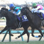 ●ドゥラエレーデの取捨