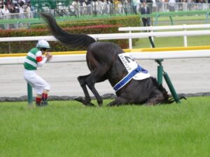 【日本ダービー】スキルヴィング急性心不全で死亡