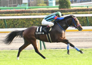 天皇賞春4頭目の犠牲馬…ヒュミドールがレース後に骨折判明