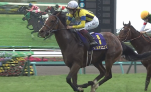 ●もうワイはソールオリエンスが何馬身離すか考えてる