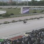 【兵庫チャンピオンシップ2023】結果・動画/ミトノオーが人気に応え楽勝