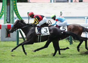 桜花賞２着コナコーストはレーンと新コンビでオークスへ