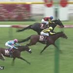 【競馬】目黒記念はレーン騎乗のヒートオンビートがV