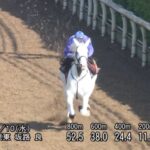 【ヴィクトリアマイル2023】追い切り/調教を見てわかる事