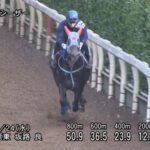 【葵ステークス2023】追い切り/抜群の動きを見せたのは