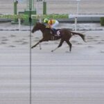 【競馬】兵庫CSは武豊騎乗のミトノオーが持ったままの大楽勝