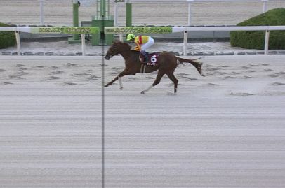 【競馬】兵庫ＣＳは武豊騎乗のミトノオーが持ったままの大楽勝