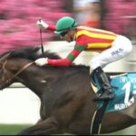 【競馬・宝塚記念】ジェラルディーナ武豊なんでまくった????ためとけよ!!!!!!!???