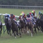 【競馬・安田記念】ソングライン強すぎワロタwwwwwwwwwwwwww