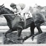 何故日本競馬にはバーイードやフライトラインみたいな怪物が生まれないのか