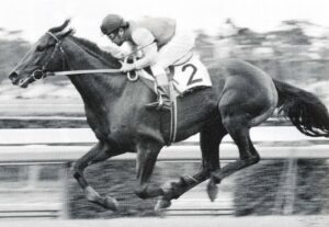 何故日本競馬にはバーイードやフライトラインみたいな怪物が生まれないのか