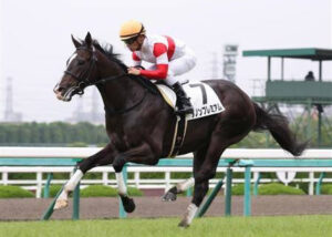 ダノンプレミアムは何故コントレイルになれなかったのか