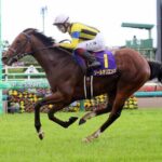 皐月賞ソールオリエンスの衝撃の末脚ってなんだったの?