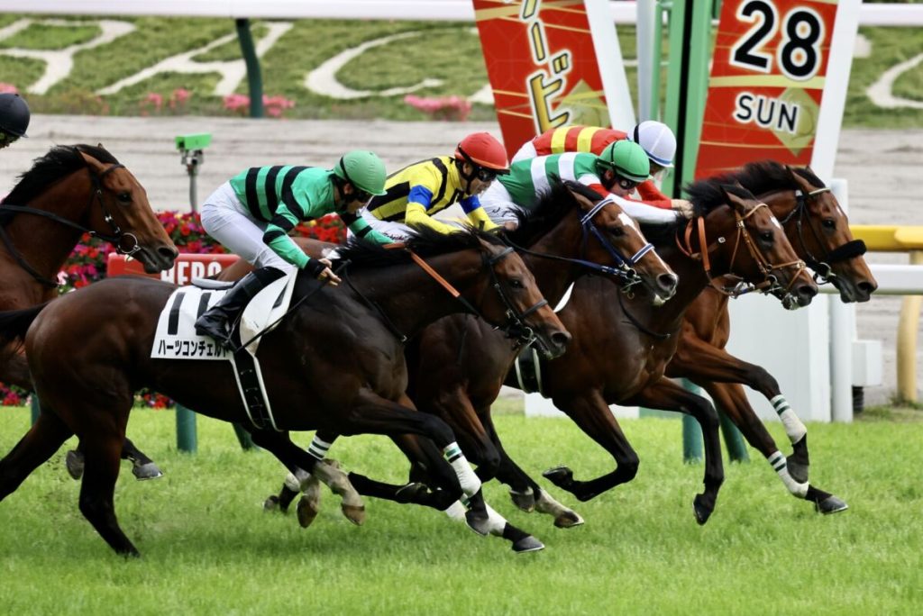 【ディープ系】サトノダイヤモンド産駒が“ディープ系”では最先着の11着で種牡馬大成功