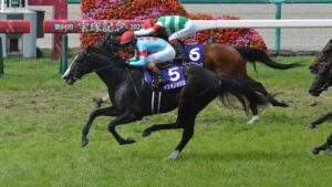 歴代の名馬を見てもあの乗り方で宝塚記念を勝てるのはイクイノックスだけだと思う