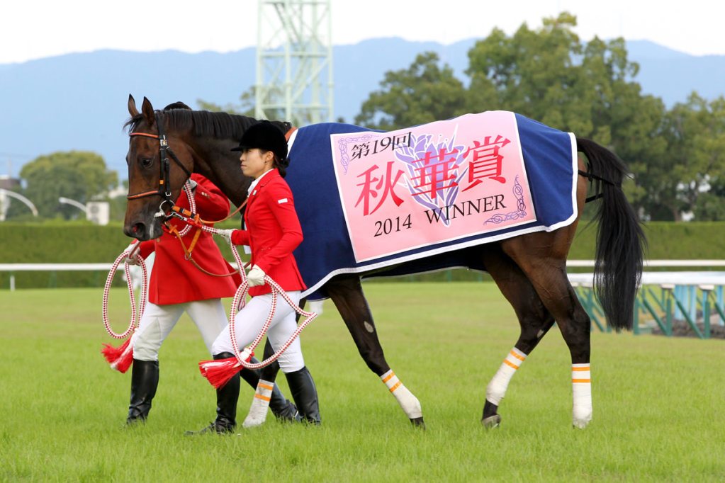 秋華賞って3000mにすべきじゃね？　牡馬3冠みたいに最後は未知数の距離の方が楽しい