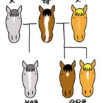 競馬って主流血統かそうじゃないかで評価がガラリと変わるよね
