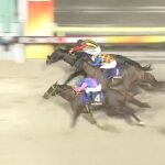 【帝王賞2023】結果・動画/メイショウハリオが接戦を制し連覇達成
