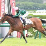 【2歳新馬】ヒヒーン強すぎてワロタwww