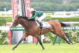 【2歳新馬】ヒヒーン強すぎてワロタwww