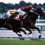 G1勝ってなかったっけ?となる馬 Part2