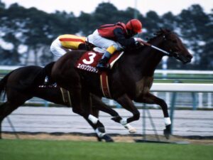 G1勝ってなかったっけ？となる馬 Part2