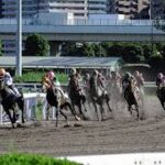 今年は地方ダート3歳が豊作