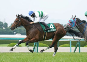 【マーメイドS】1番人気ビッグリボンが人気に応えて重賞初Ｖ！重賞初制覇