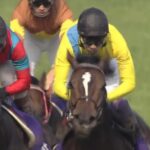 【競馬】安藤勝己「宝塚記念は池添騎手がどの馬よりも上手く乗った」