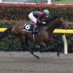 名前の「ヴ」をバ行に変えた時に一番弱そうな馬