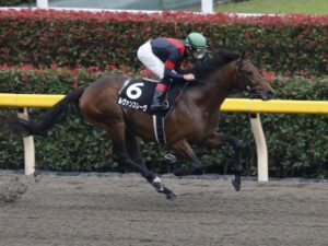 名前の「ヴ」をバ行に変えた時に一番弱そうな馬