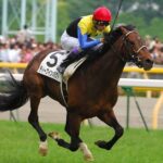ディープインパクトって凱旋門賞に出走する年が1年ズレてたらマジで勝ってたんじゃね?