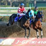 オジュウチョウサンの代表レースを選ぶとしたらどれにする?