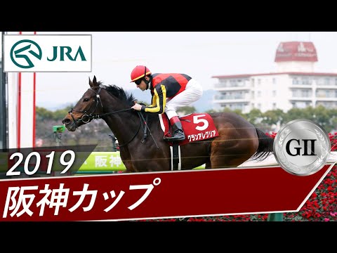 2019年 阪神カップ（GⅡ） | グランアレグリア | JRA公式