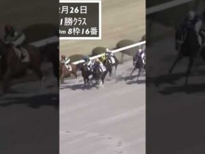 ダートが得意⁉️横山典弘騎手の直線追い切り🏇