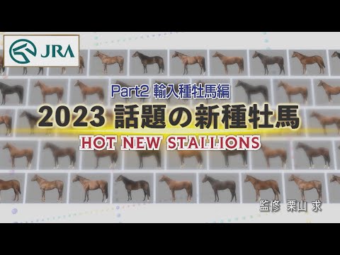 2023年新種牡馬紹介　～輸入種牡馬編～ | JRA公式