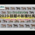 2023年新種牡馬紹介 ~内国産種牡馬編~ | JRA公式