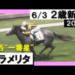 【2023年の新馬戦がスタート！注目の新種牡馬産駒が躍動】実況：川島壮雄 [カンテレ公式]