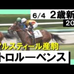 【2023年の新馬戦がスタート！】実況：川島壮雄 [カンテレ公式]