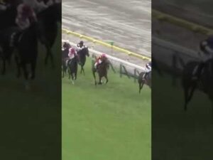 伸びる！伸びる‼️後方から差し切る横山典弘騎手🏇