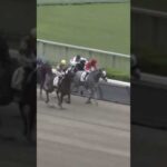 競って競って競って差し切る横山典弘騎手の直線一閃🏇