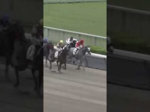 競って競って競って差し切る横山典弘騎手の直線一閃🏇