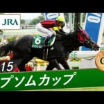 2015年 エプソムカップ(GⅢ) | エイシンヒカリ | JRA公式