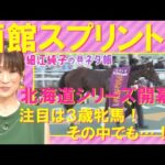 函館スプリントS(GⅢ)を元ジョッキーの細江純子さんが徹底解説!<細江純子のネタ帳>