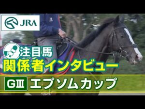 【注目馬 関係者インタビュー】2023年 エプソムカップ｜JRA公式