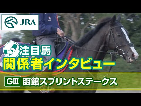 【注目馬 関係者インタビュー】2023年 函館スプリントステークス｜JRA公式