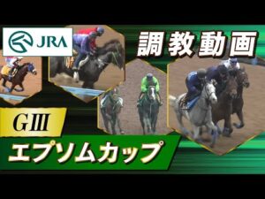 【調教動画】2023年 エプソムカップ｜JRA公式